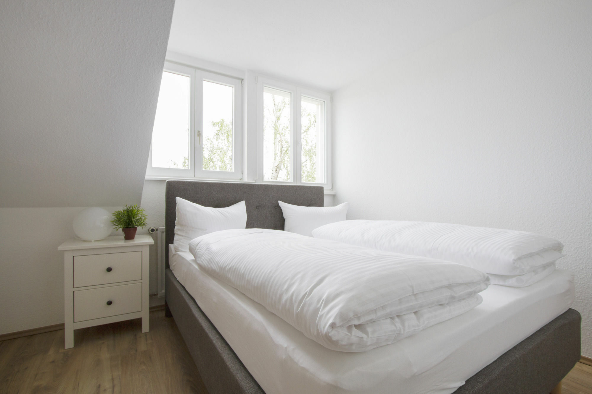 Limehome Dresden Antonstrasse Εξωτερικό φωτογραφία